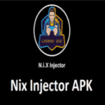 Nix Injector