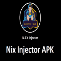 Nix Injector
